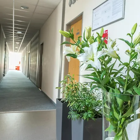 B&b, Reception 24 7, 800m Od-from R1, Free Parking 3*